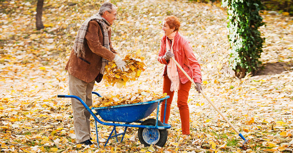 Avoid Back Pain with these Fall Raking Tips